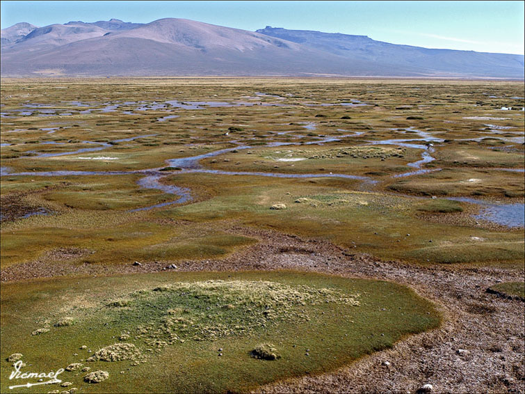 Foto de Arequipa, Perú