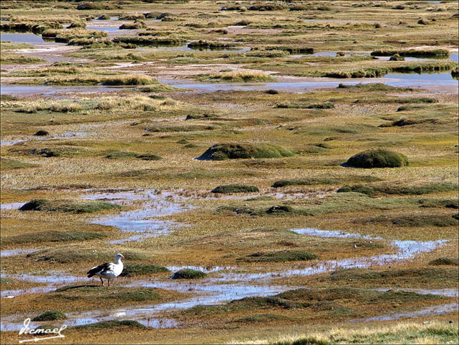 Foto de Arequipa, Perú