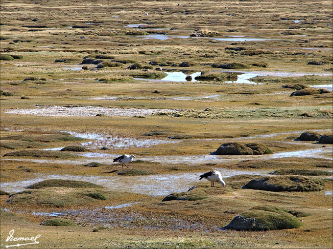 Foto de Arequipa, Perú