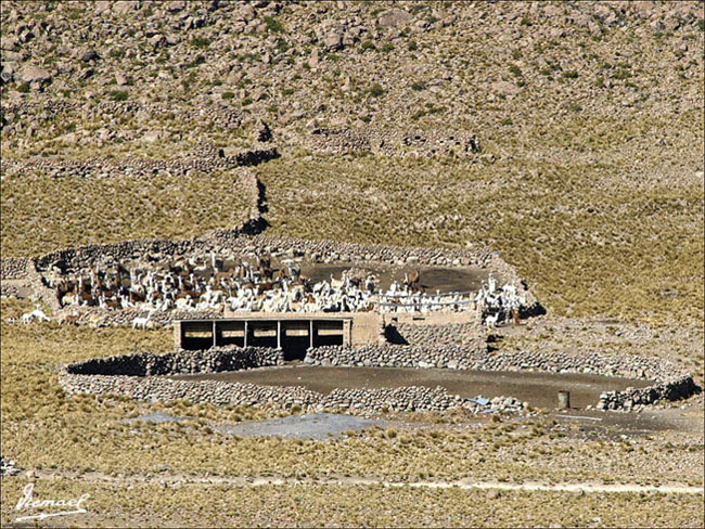 Foto de Arequipa, Perú
