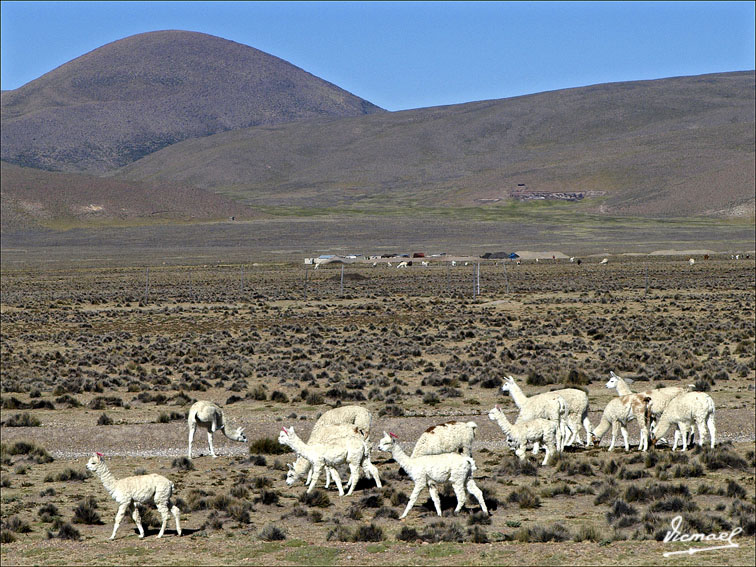 Foto de Arequipa, Perú