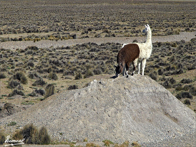 Foto de Arequipa, Perú