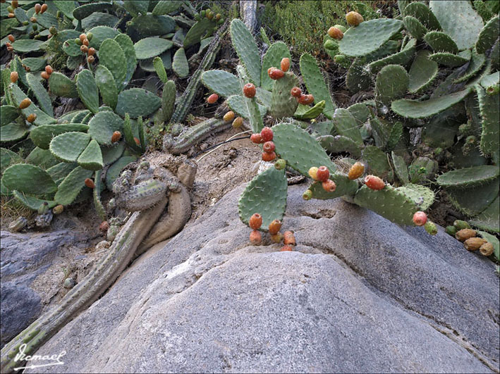 Foto de Valle del Colca, Perú
