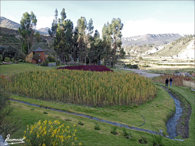 Foto de Valle del Colca, Perú