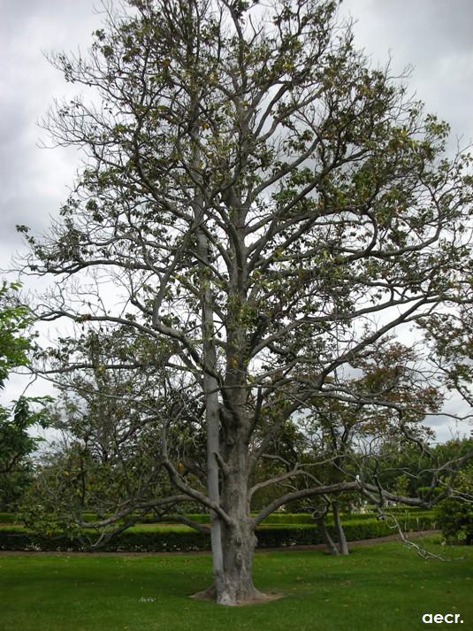 Foto de Aranjuez (Madrid), España