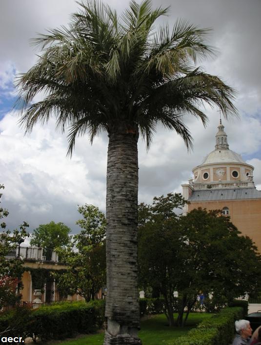 Foto de Aranjuez (Madrid), España