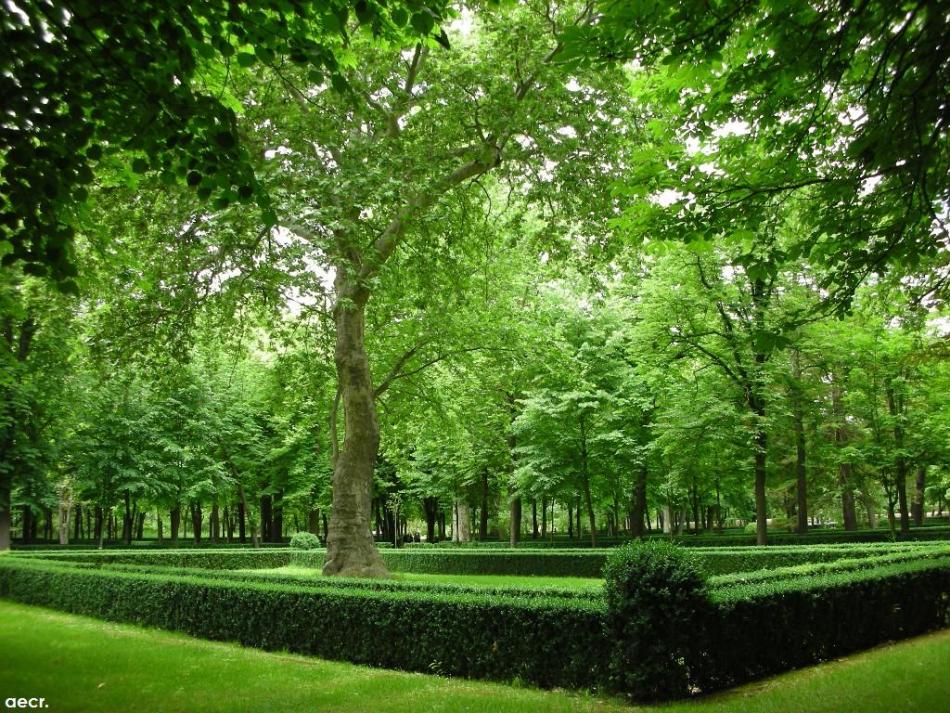 Foto de Aranjuez (Madrid), España