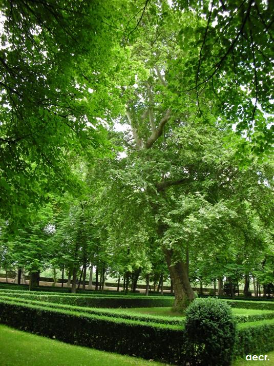 Foto de Aranjuez (Madrid), España
