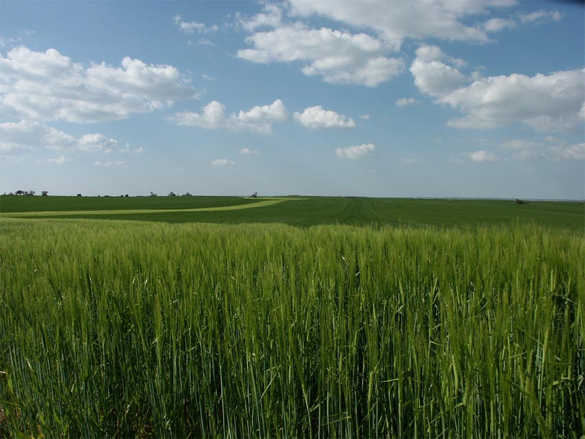 Foto de Valcavado de Roa (Burgos), España