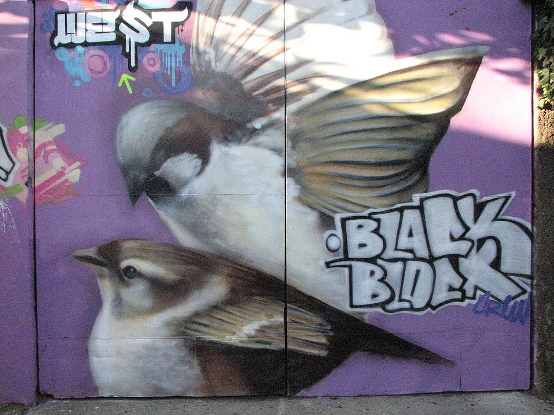 Foto de Valparaíso, Chile