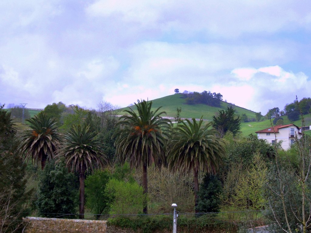 Foto de Hermosa (Cantabria), España