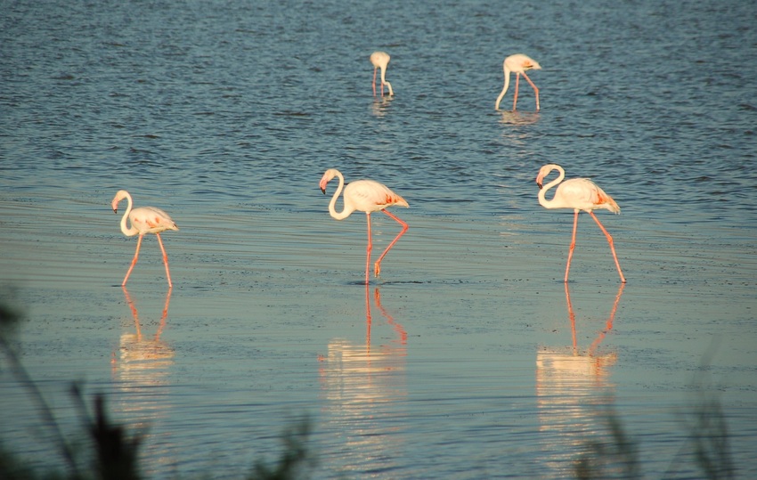 Foto de Tarragona (Cataluña), España