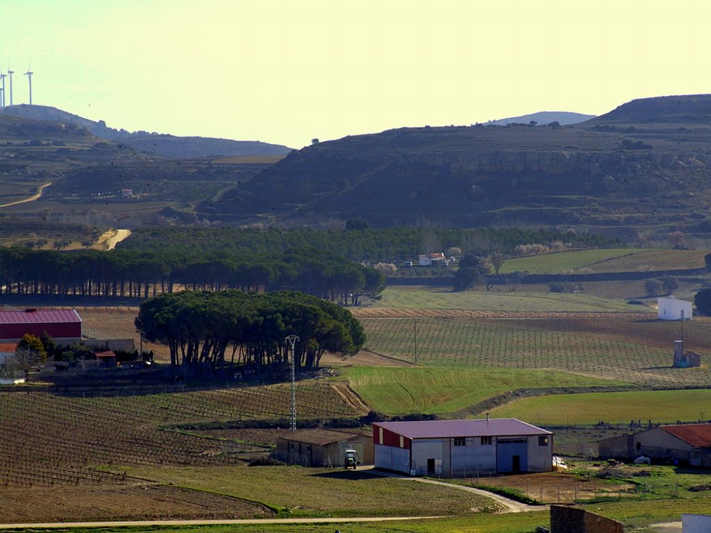 Foto de Higueruela (Albacete), España