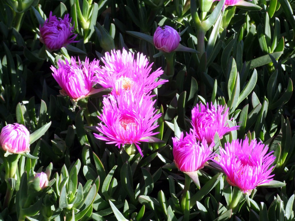 Foto de La Encina (Alicante), España
