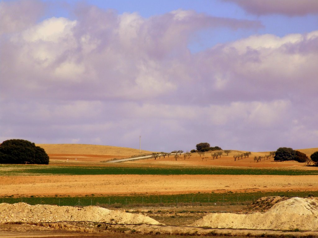 Foto de La Higuera (Albacete), España