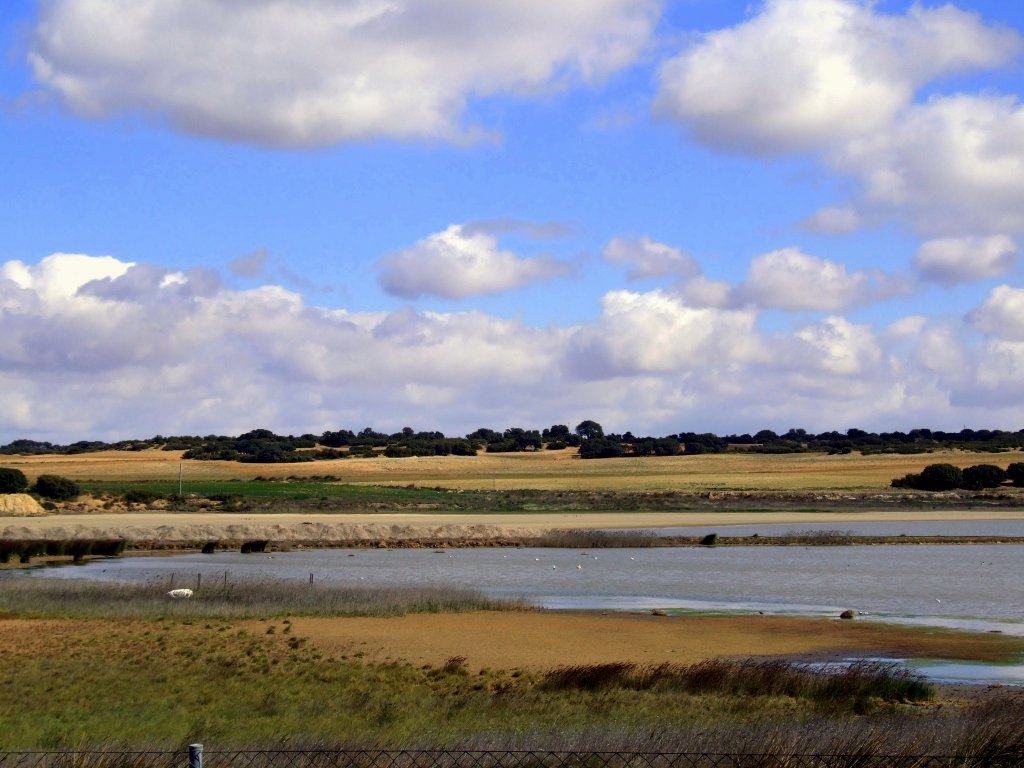 Foto de La Higuera (Albacete), España