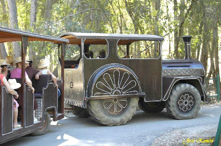 Foto de Sevilla (Andalucía), España