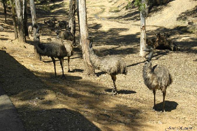 Foto de Sevilla (Andalucía), España