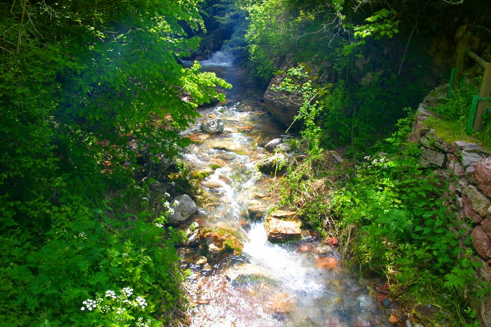 Foto de Castellar de N´Hug (Barcelona), España