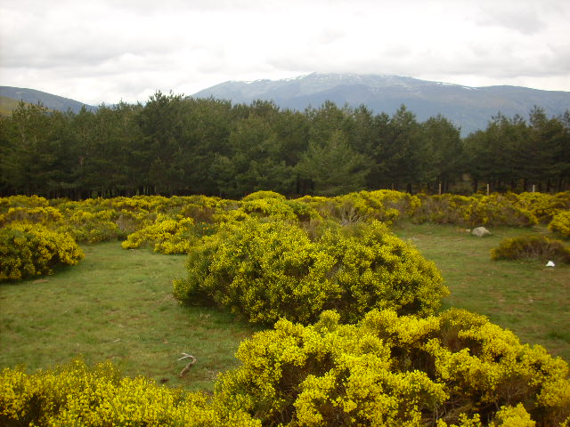 Foto de Miraflores de la Sierra (Madrid), España