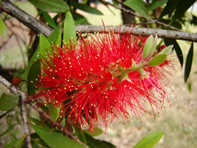 Foto de Buenos Aires, Argentina