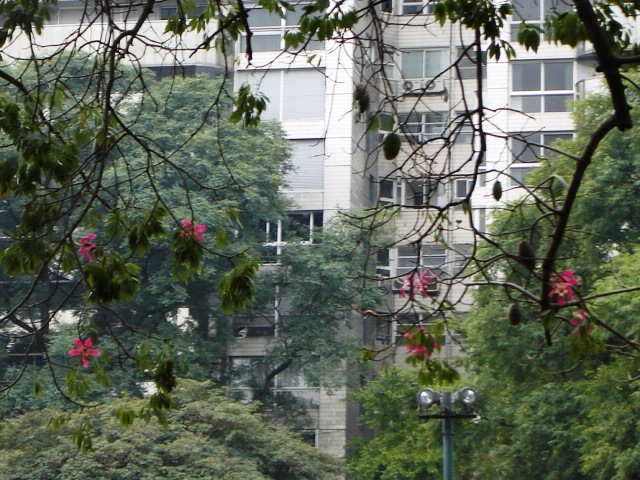 Foto de Buenos Aires, Argentina