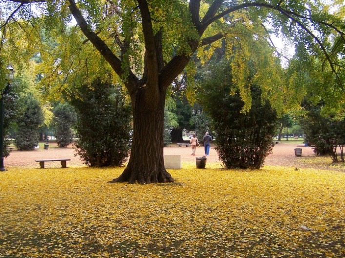 Foto de Buenos Aires, Argentina