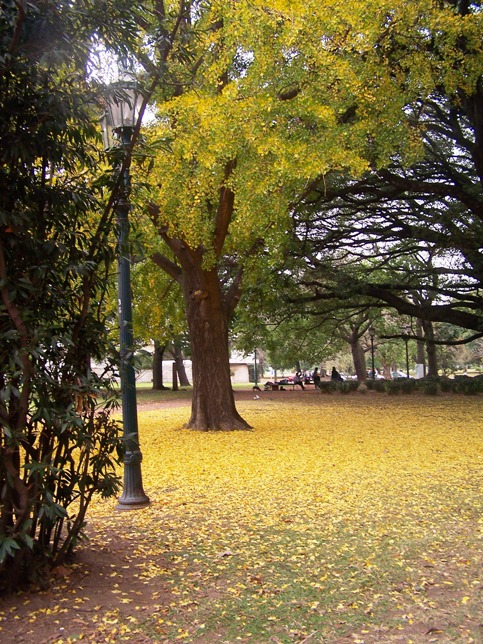 Foto de Buenos Aires, Argentina