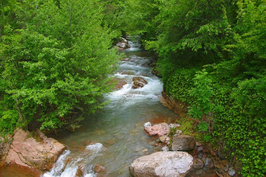 Foto de La Pobla de Lillet (Barcelona), España