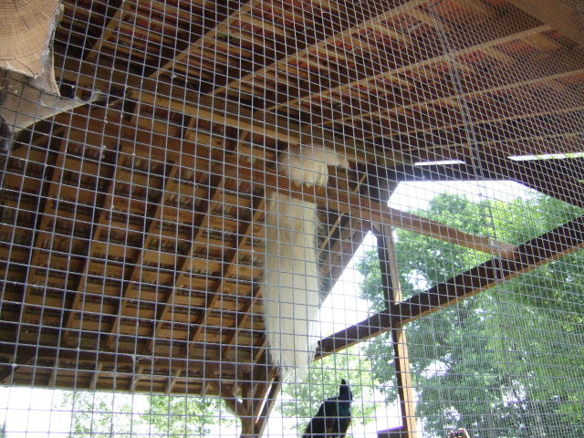 Foto de Rhodes, Francia