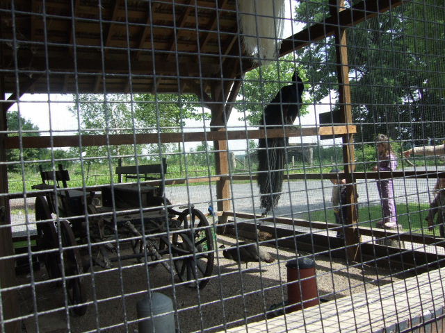 Foto de Rhodes, Francia