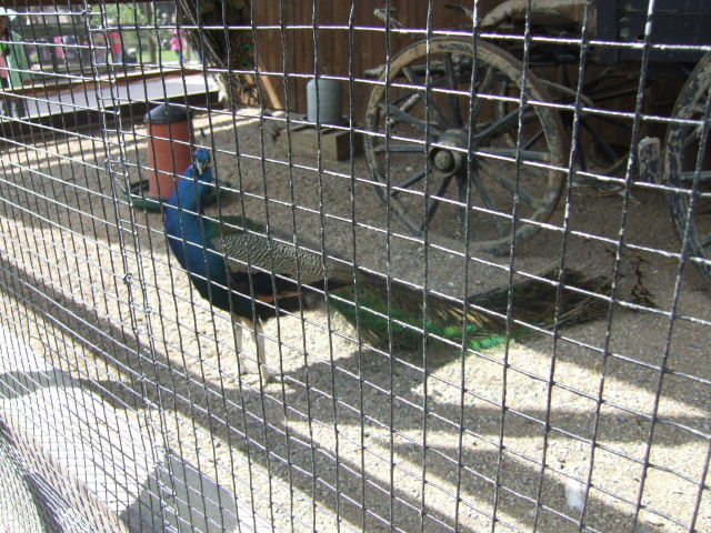 Foto de Rhodes, Francia