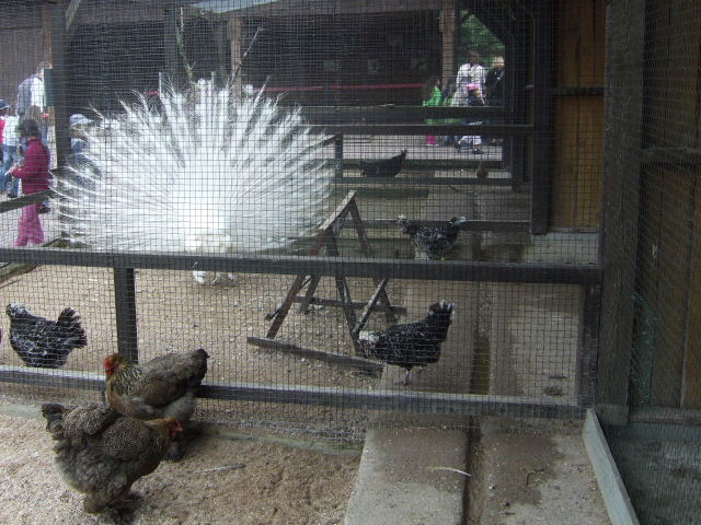 Foto de Rhodes, Francia