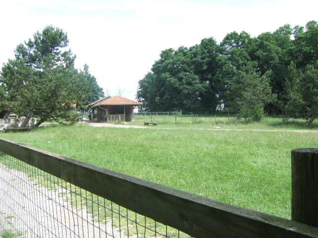 Foto de Rhodes, Francia