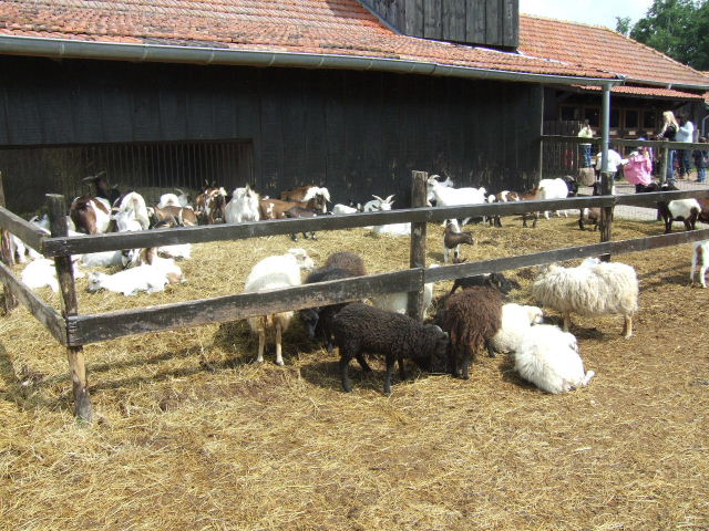 Foto de Rhodes, Francia