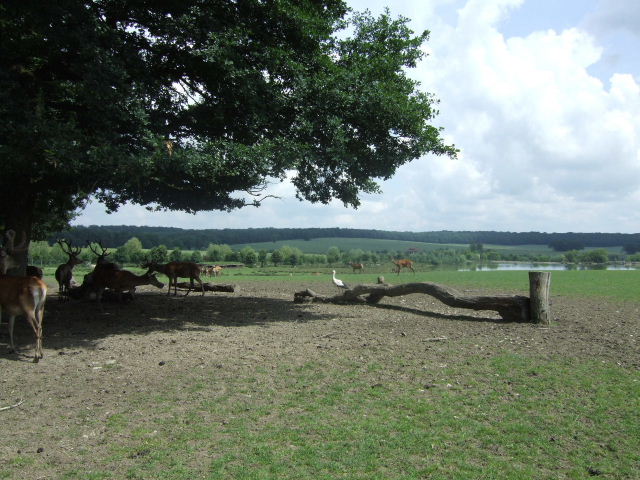 Foto de Rhodes, Francia