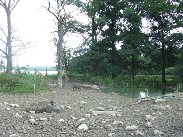 Foto de Rhodes, Francia