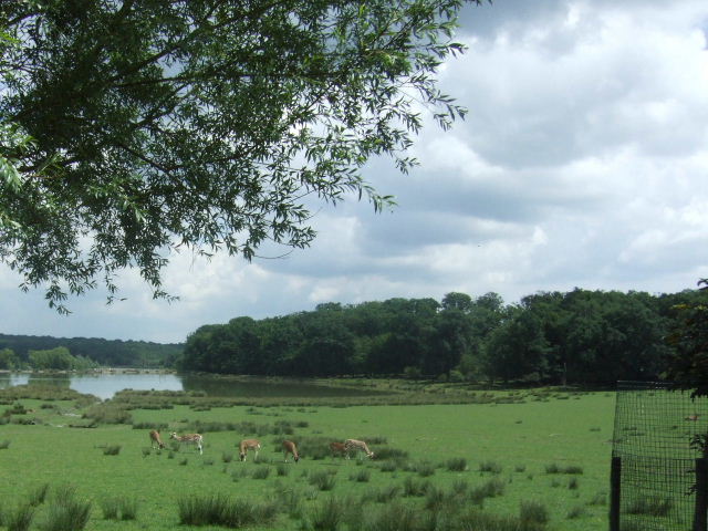 Foto de Rhodes, Francia