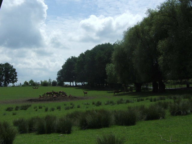 Foto de Rhodes, Francia