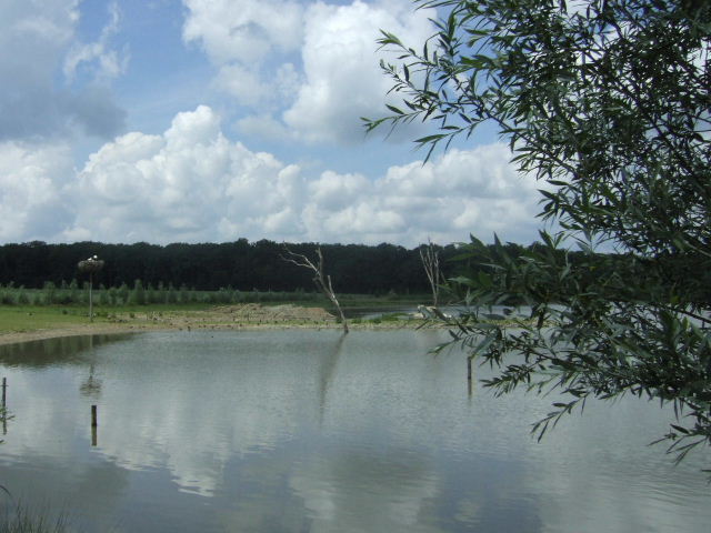 Foto de Rhodes, Francia