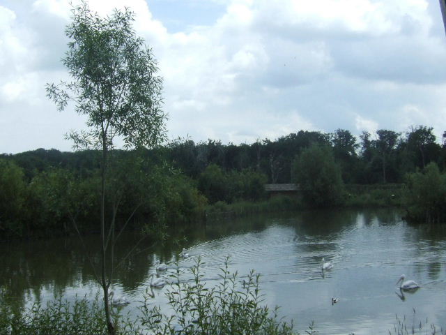 Foto de Rhodes, Francia