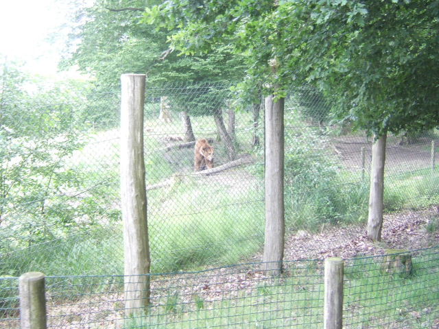 Foto de Rhodes, Francia
