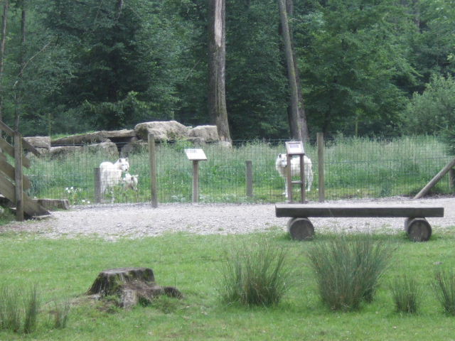 Foto de Rhodes, Francia