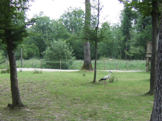 Foto de Rhodes, Francia