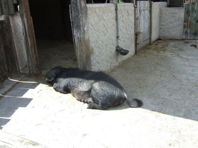 Foto de Rhodes, Francia