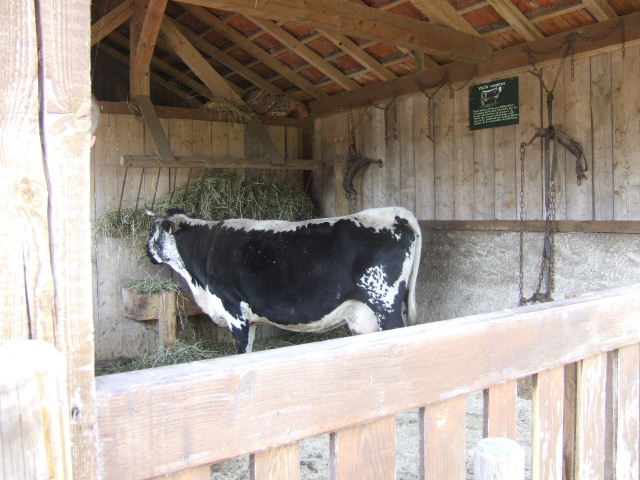 Foto de Rhodes, Francia