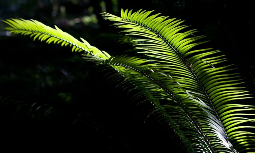 Foto de Barcelona (Cataluña), España