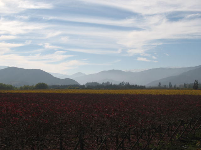 Foto de La Serena, Chile
