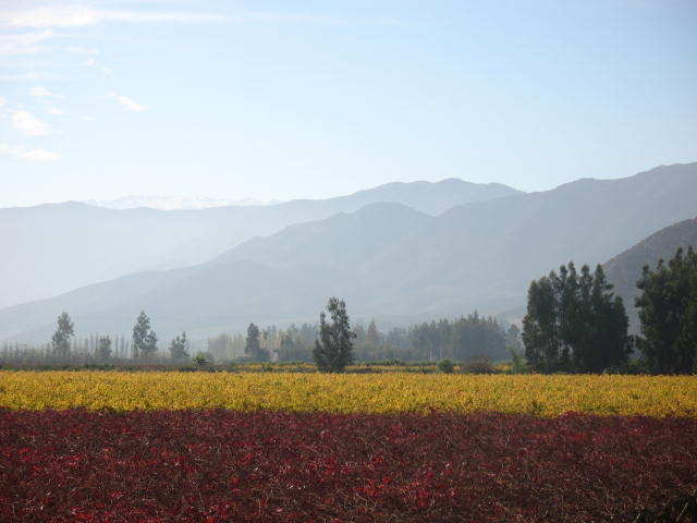 Foto de La Serena, Chile