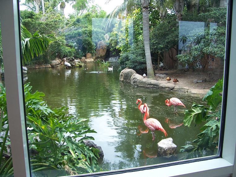 Foto de Galveston (Texas), Estados Unidos